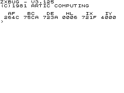 ZX Bug screenshot